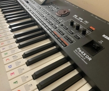 Korg Pa5X, Korg Pa4X, Korg Pa4X MG2 Edition 