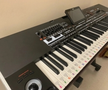 Korg Pa5X, Korg Pa4X, Korg Pa4X MG2 Edition 