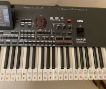 Korg Pa5X, Korg Pa4X, Korg Pa4X MG2 Edition 